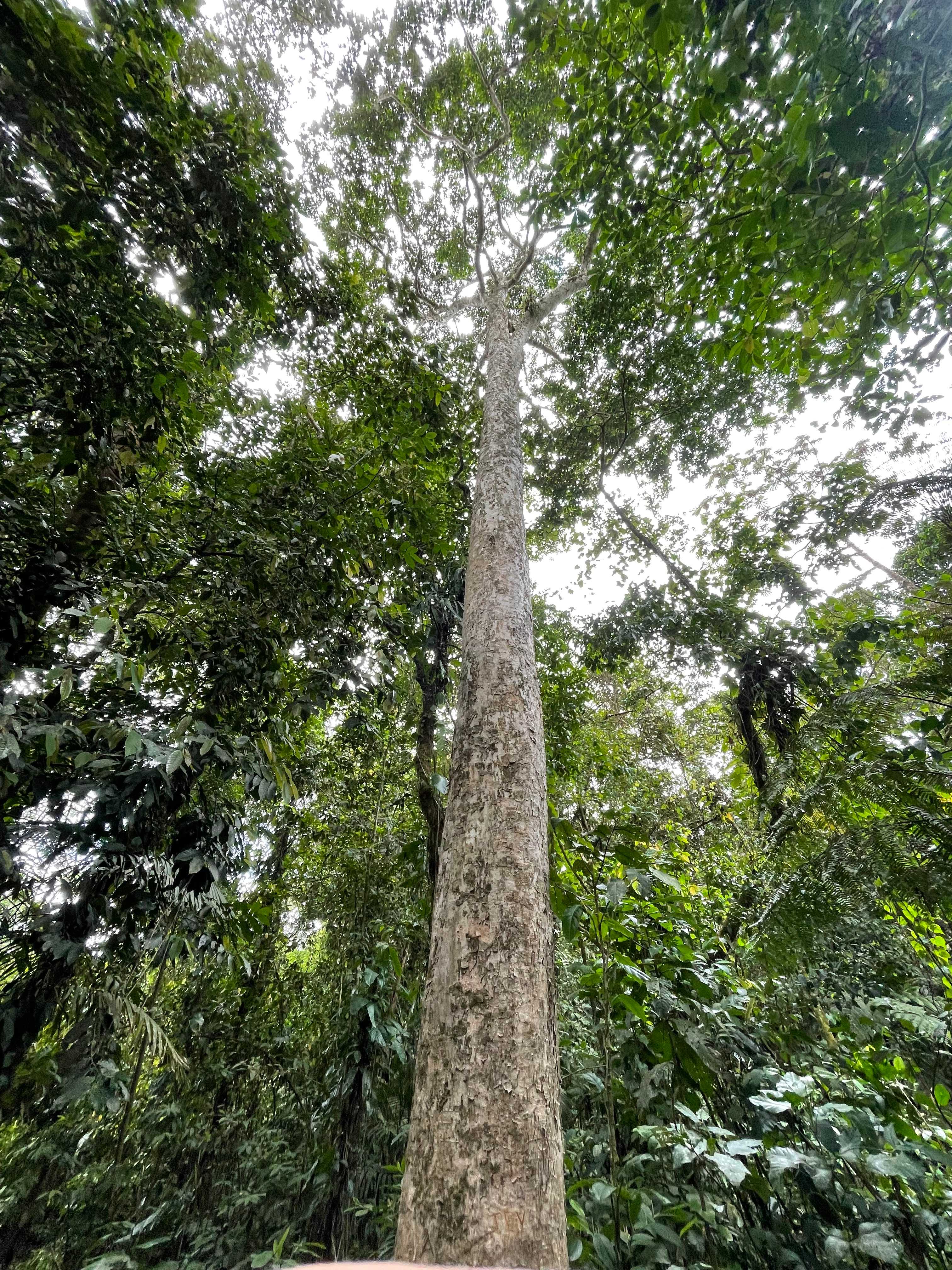 Costa Rica